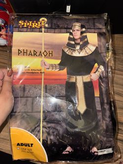 Men Costume (One Size)
