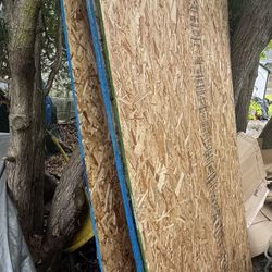 12  plywood sheets available