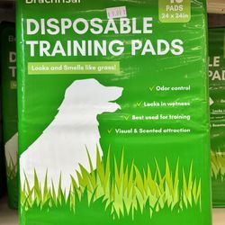 Disposable Training Pads 