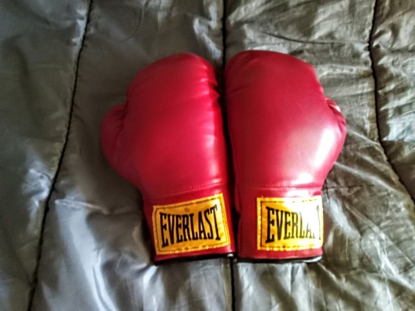 Everlast Boxing Gloves