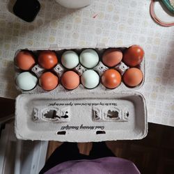 Backyard Chicken Eggs