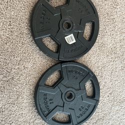 Weirder 25 Lb Bars (2 Pct)