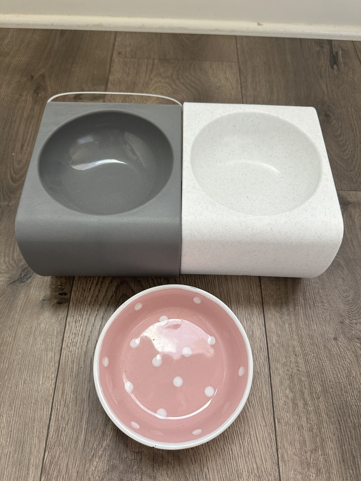 Cat Bowls
