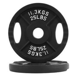 New Pair Of 25 Pounds Metal Plates