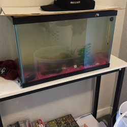 10g Fish Tank 