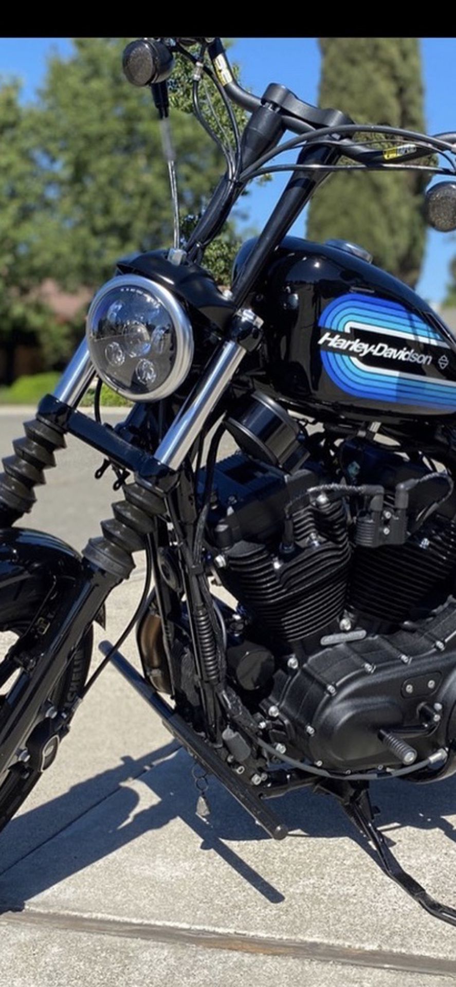Photo 2019 Harley Iron 1200