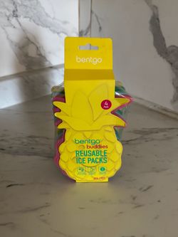 Reusable Ice Packs