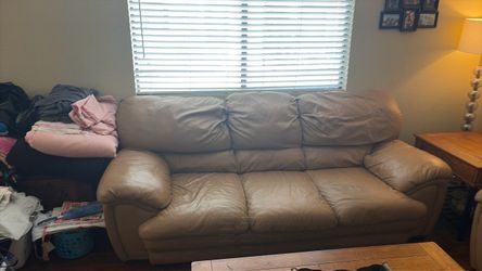 Couch and Love Seat