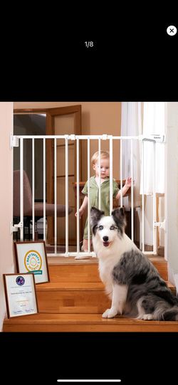 Baby Gate