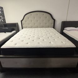 Cal King Floor Model Bundle SALE!! - Eugene Mattress Company 