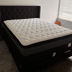 Mattress Sale Kings/Queens 