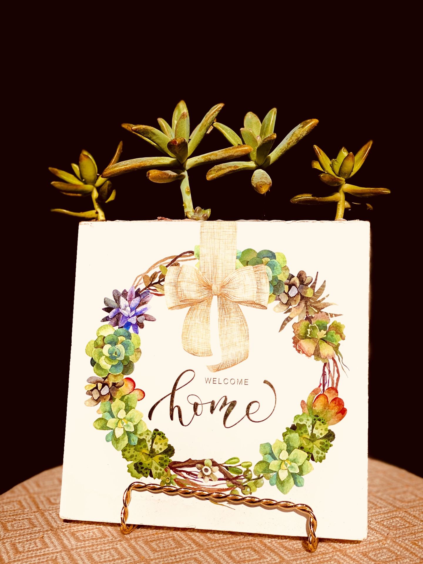 Floral arrangements Welcome sign succulents wreath picture frame live succulent frame stand gold birthday gift home decor rustic decor boho decor fa