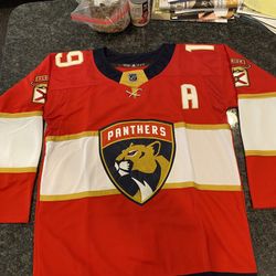 Florida Panthers Adult sizes Medium Up To 2XL 