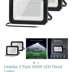 2 Pack LED Flood Lights 