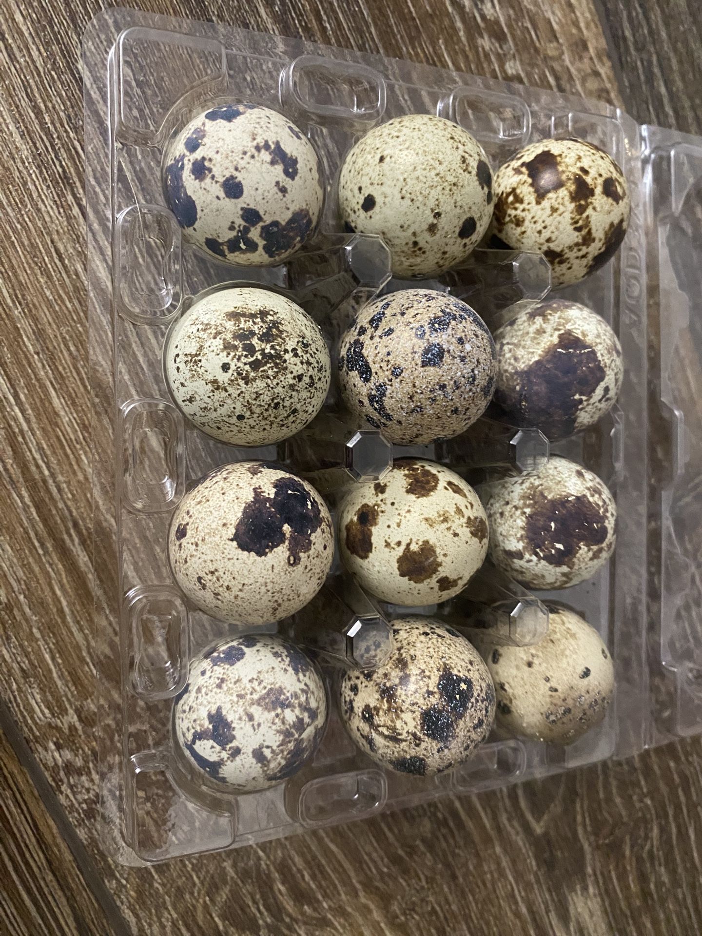 Quail Eggs And Baby Quail