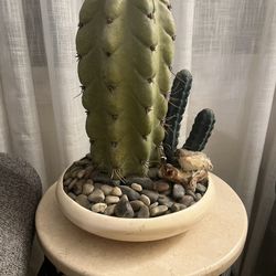 Cacti With Bird Plant Arrangement Home Decor 