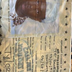 Tyler The Creator CMIYGL License Tapestry – New