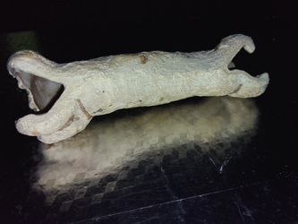 Bone Shape Snake Hide