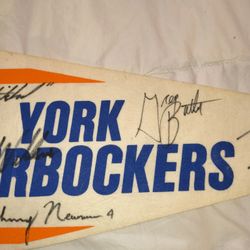 Rare 1992–1993 New York Knicks Full Team Autographed Pennant – Patrick Ewing, Mark Jackson, Kiki Vandeweghe + More!     ---