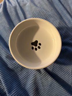 Elevated cat dish