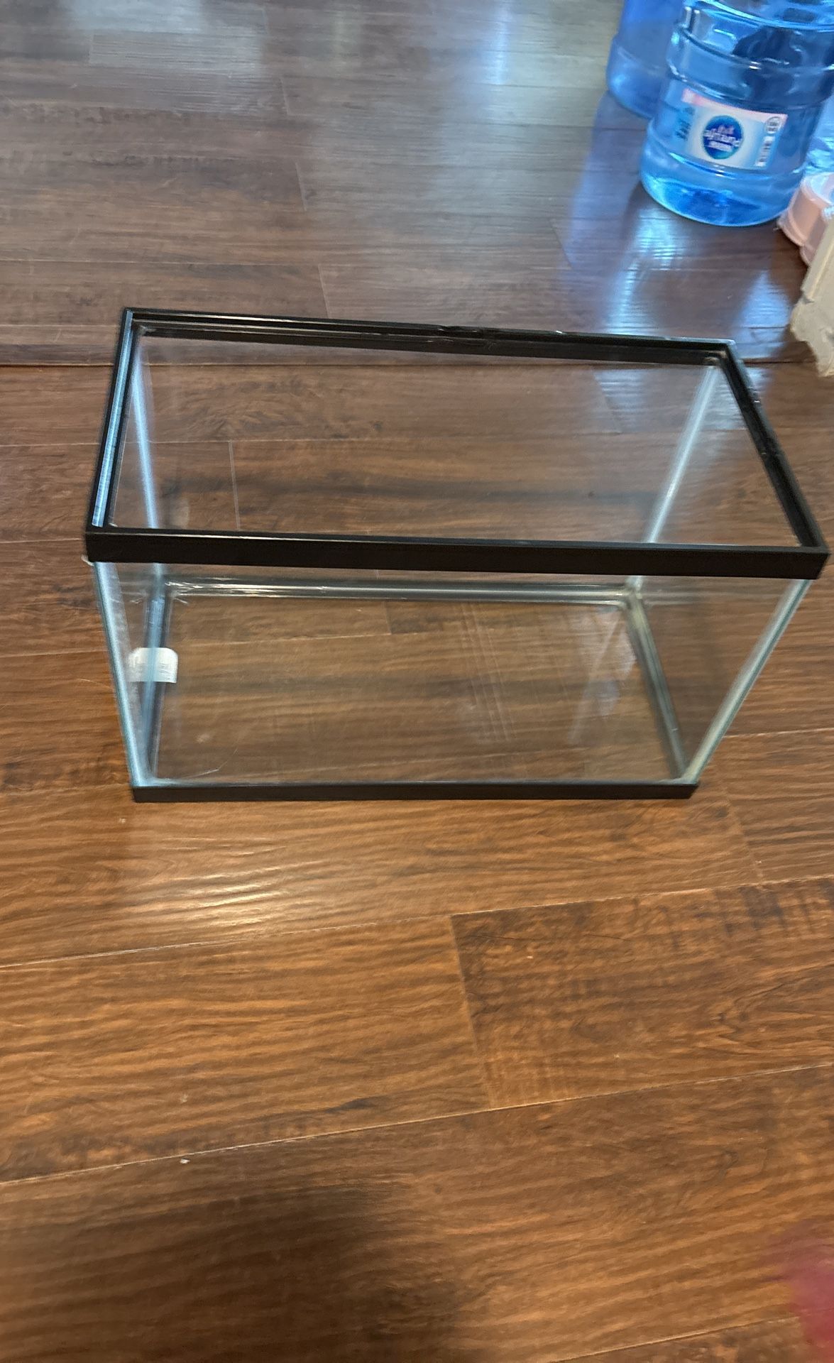 10 Gallon Terrarium With Supplies