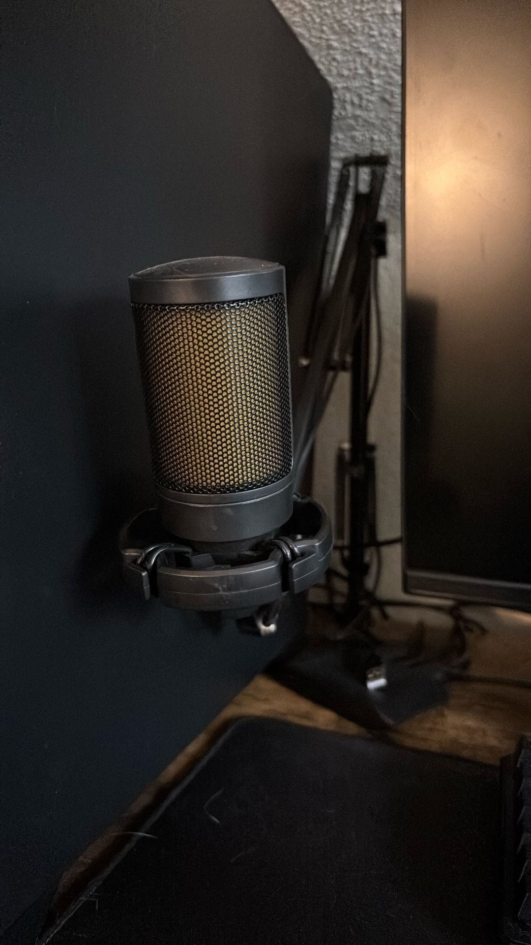 Microphone With Stand