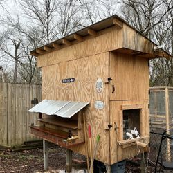 Nicely Built Custom Chicken Coop 