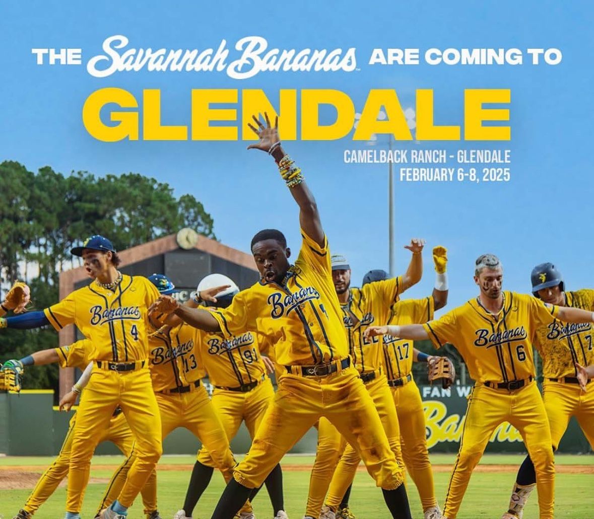 Savannah Bananas Lawn GA Tickets (5)