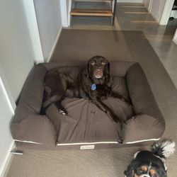 Pet Fusion Extra Large Memory Foam Dog Bed