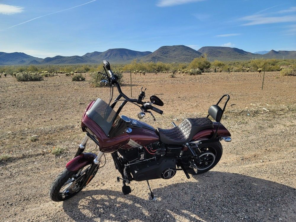2015 Harley Davidson Dyna Fat Bob