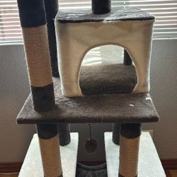 Cat Tower 