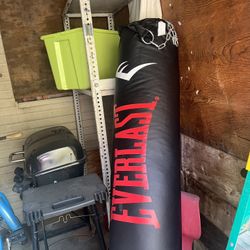 Everlast 90 Pounds Punching Bag 