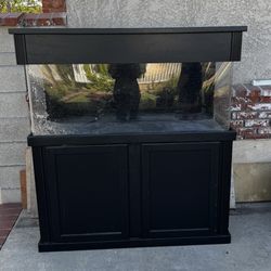 Aquarium Fish Tank 