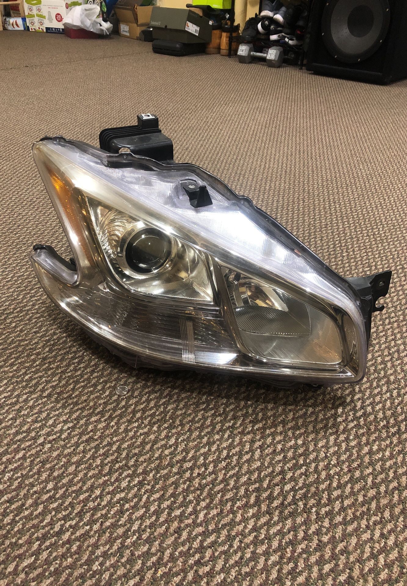 headlight for Nissan maximum Right side.