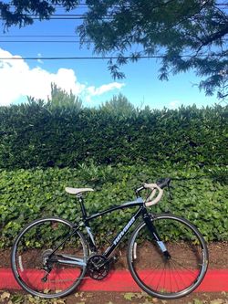 Novara Carema 3 Road Bike – Small Frame - Lightweight Bicycle Carbon fork