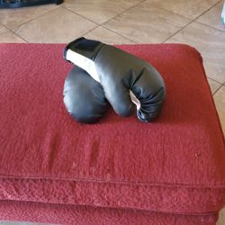 Boxing Gloves