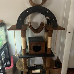 Cat House/post