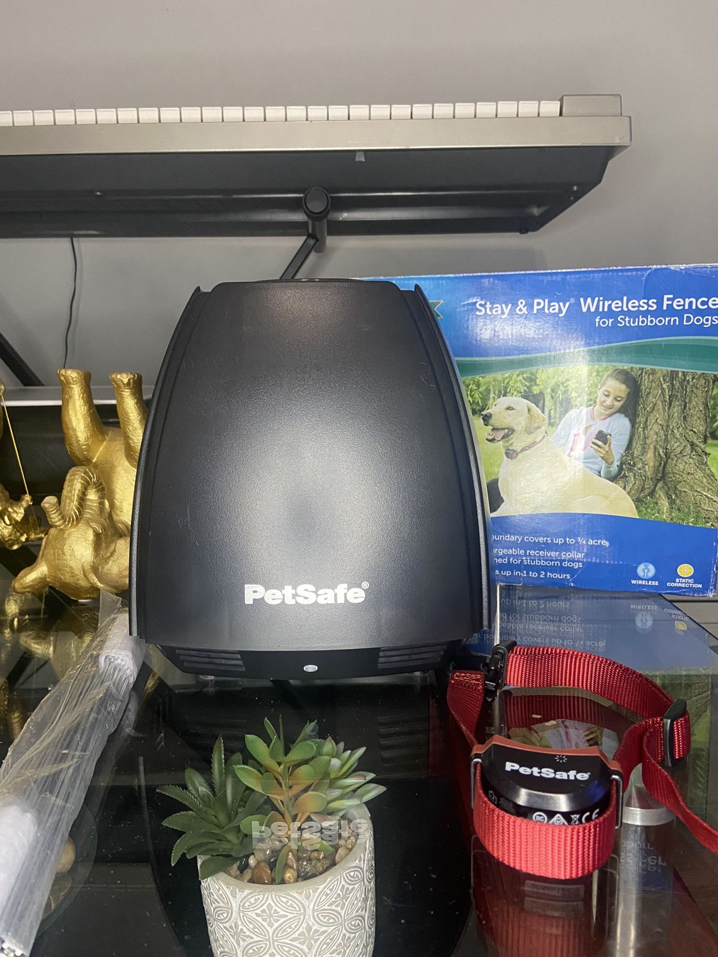 Petsafe Wireless Fence Dog Collar