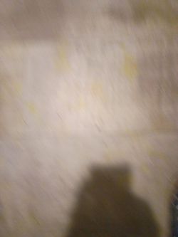 ISO CHEAP CAMPER