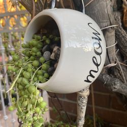 String Of Pearls In A Meow Cup With A Cat Inside $12