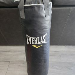 Everlast Heavy Punching Bag