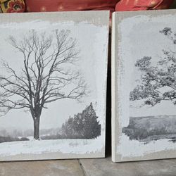 Set Of 3 Canvas Tree Art