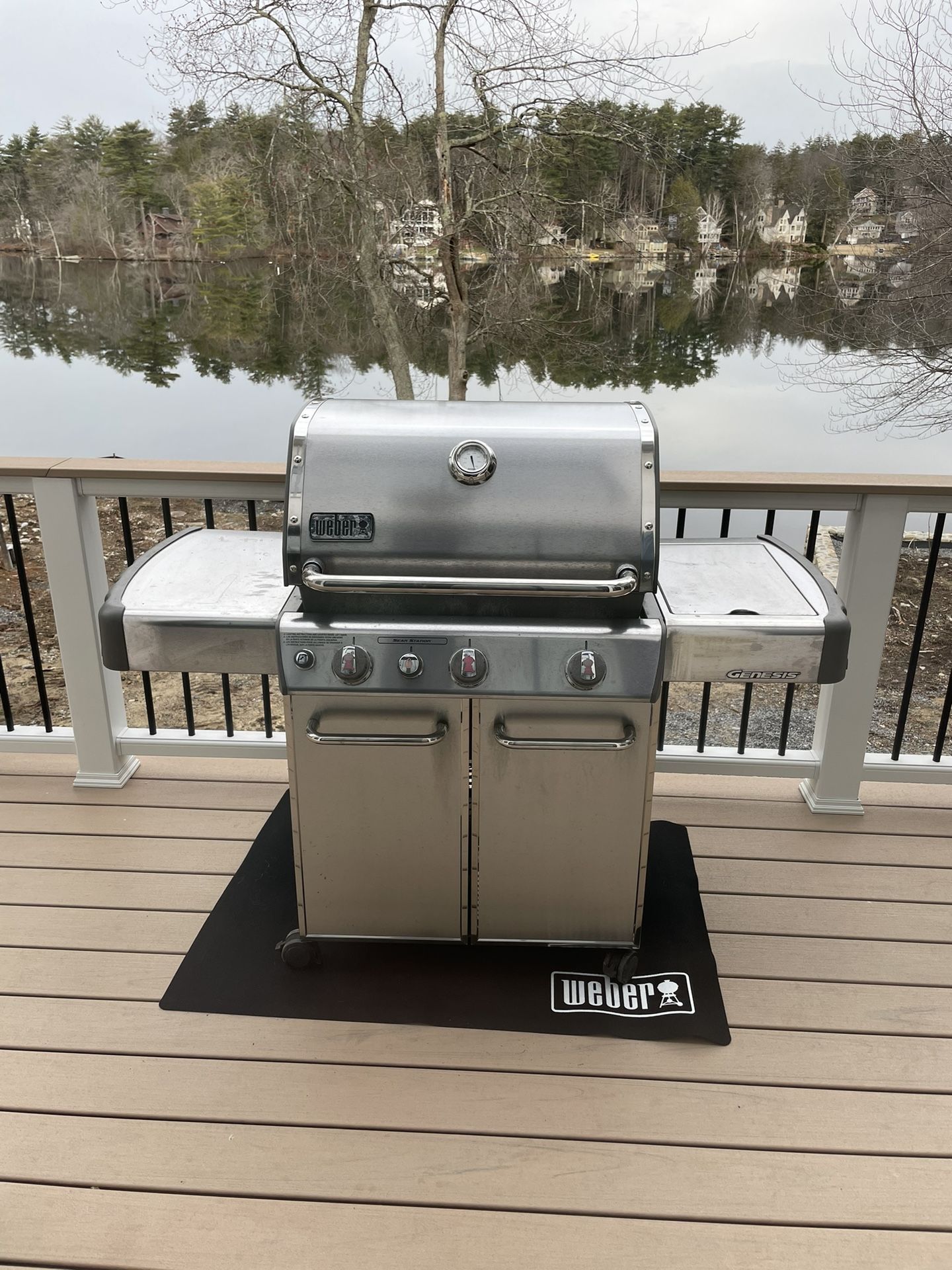 Weber Genesis 4-burner Grill