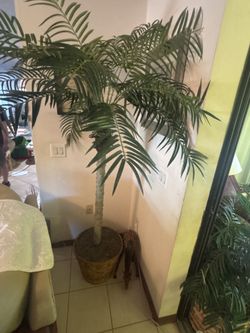 Large Decorative Palm Tree w/ Basket – Indoor/Patio Decor