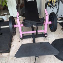 Hip Thrust , Step Up Boxes, Sled, Roman Chair 