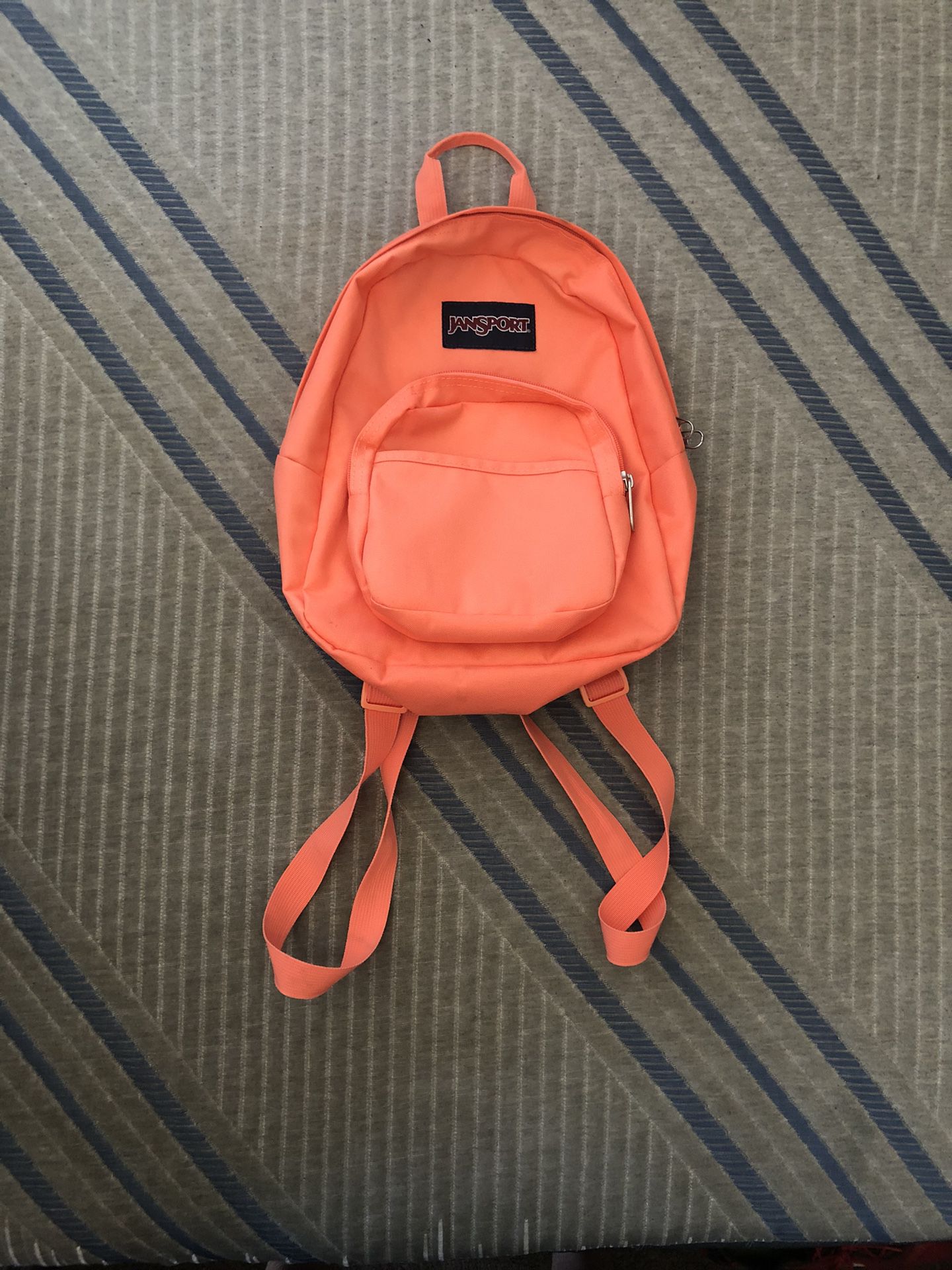 Small Pink Jansport Backpack