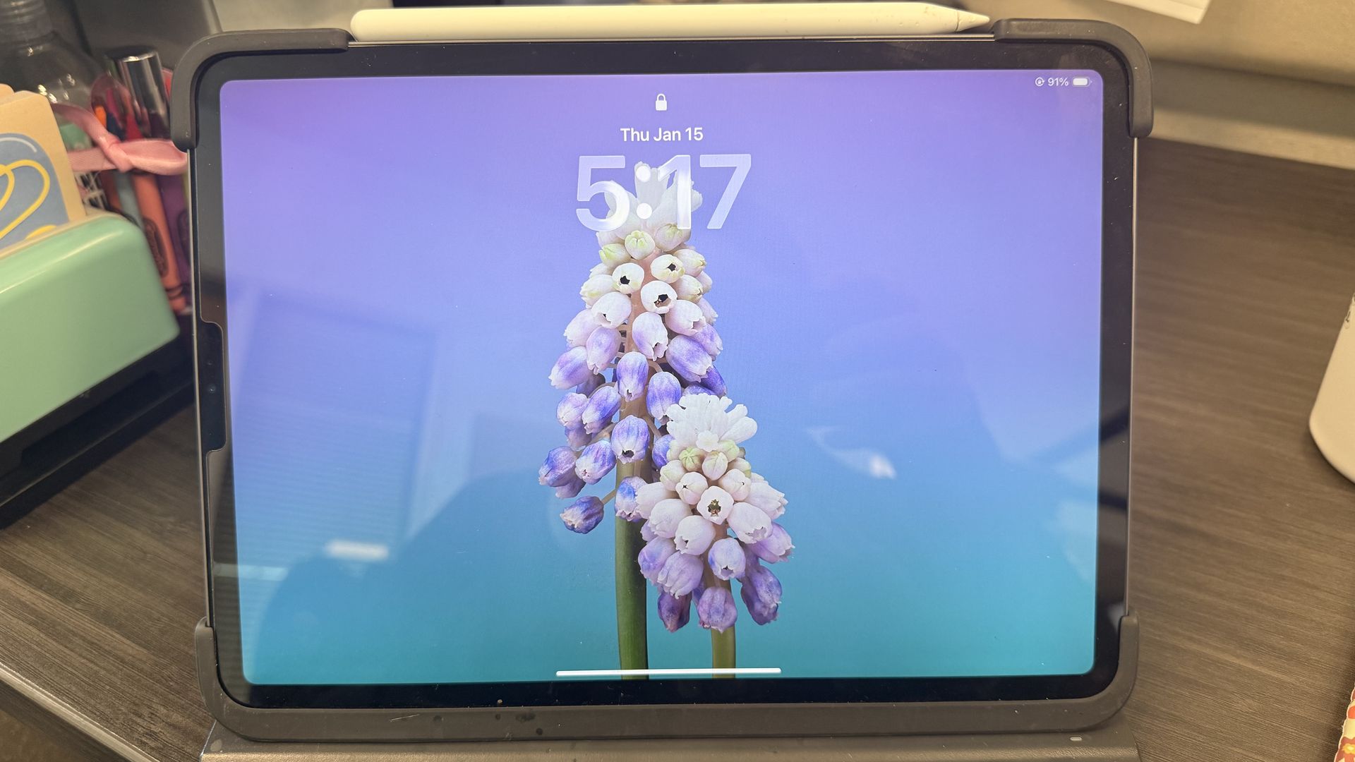 iPad Pro 11inch (2nd generation) 256gb