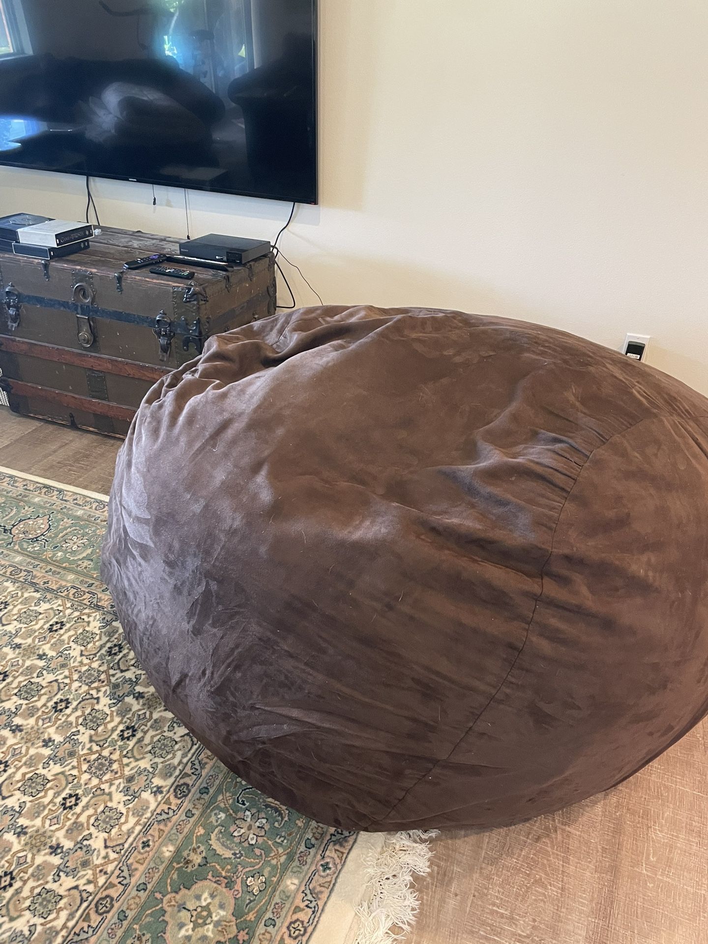 Free! Large Bean Bag Chair