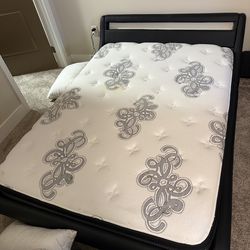 Full Size Mattress