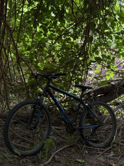 2018 Trek Trek 820